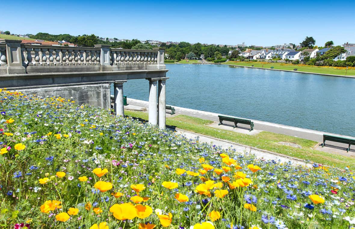 Knap Lake and Garden